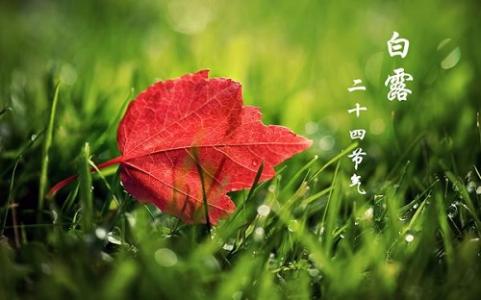 你知道白露节气养生需要注意哪些事项吗?