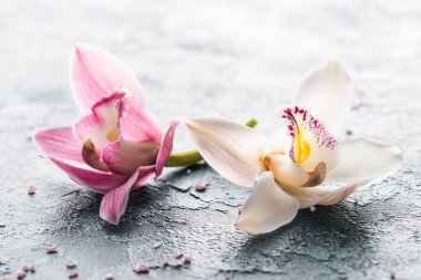 爱美人士别忘了还有牙齿美白的按摩方法